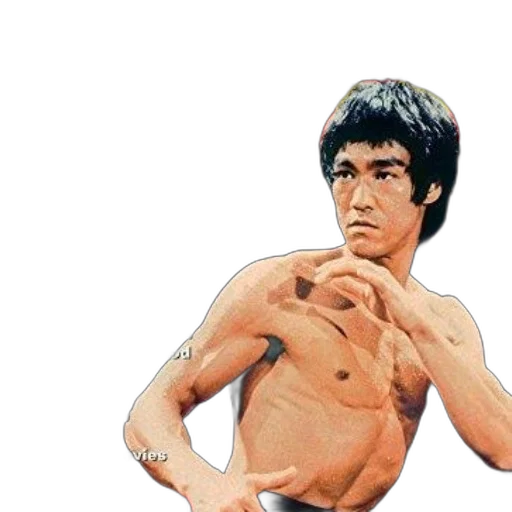 face, weapon, animal, sword transparent PNG cut-out