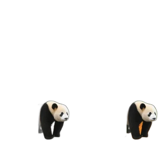 jewelry, animal, 3d render, concept art transparent PNG cut-out