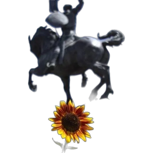 crown, flower, staff, jewelry transparent PNG cut-out