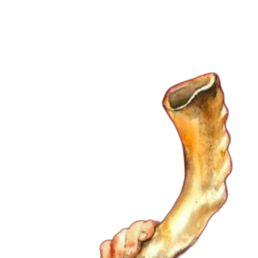 shoes, staff, food, weapon transparent PNG cut-out
