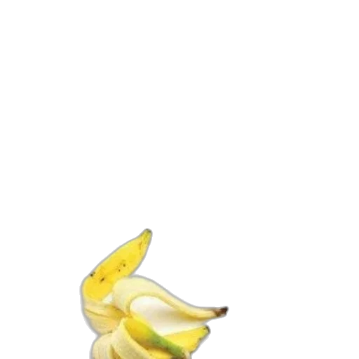 flower, animal, food, weapon transparent PNG cut-out