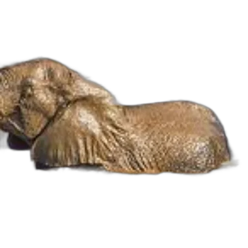 animal, jewelry, furniture, photorealistic transparent PNG cut-out