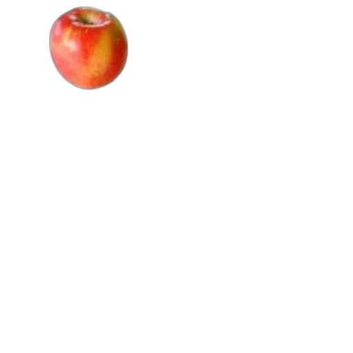 food, tree, animal, weapon transparent PNG cut-out