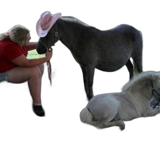animal, hat, creature, staff transparent PNG cut-out
