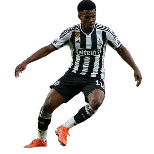 newcastle, defender, has, jailed transparent PNG cut-out
