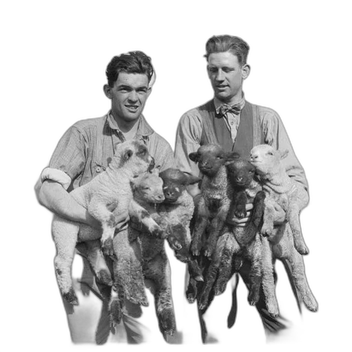 staff, animal, two, men transparent PNG cut-out