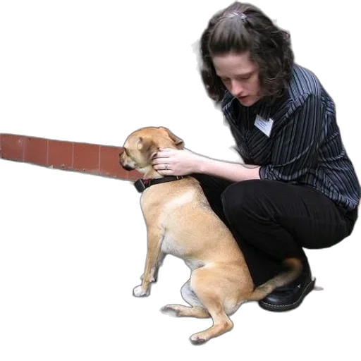 staff, animal, creature, weapon transparent PNG cut-out