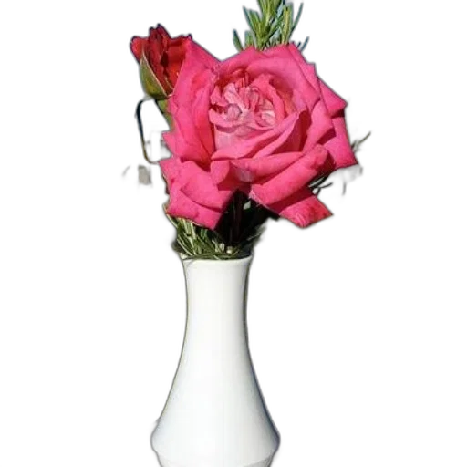 flower, bottle, crown, jewelry transparent PNG cut-out