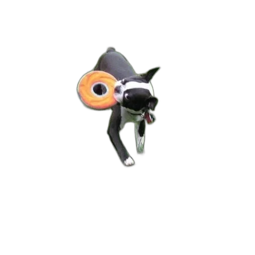staff, weapon, robot, creature transparent PNG cut-out