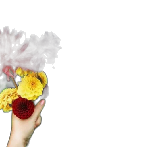 food, flower, crown, hat transparent PNG cut-out