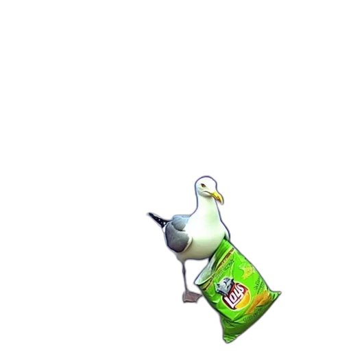 bottle, food, animal, creature transparent PNG cut-out