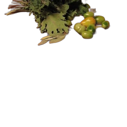 crown, food, staff, jewelry transparent PNG cut-out