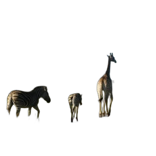 animal, jewelry, furniture, creature transparent PNG cut-out