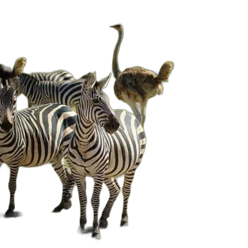animal, 3d render, photorealistic, concept art transparent PNG cut-out