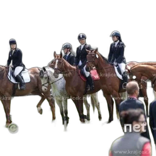 staff, group, equestrians, black transparent PNG cut-out