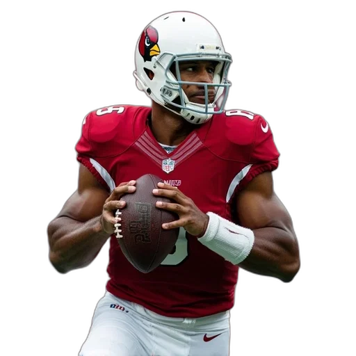 michael, peterson, arizona, cardinals transparent PNG cut-out