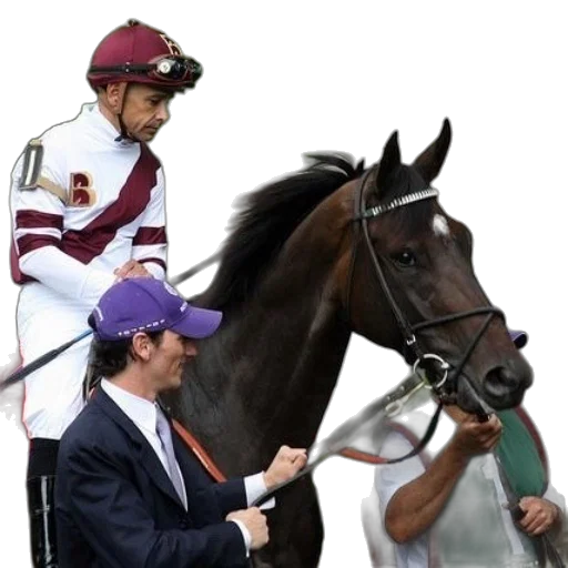 staff, animal, jockey, red transparent PNG cut-out