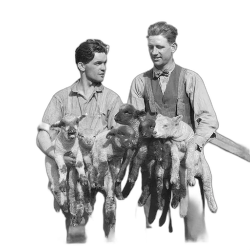 animal, staff, two, men transparent PNG cut-out