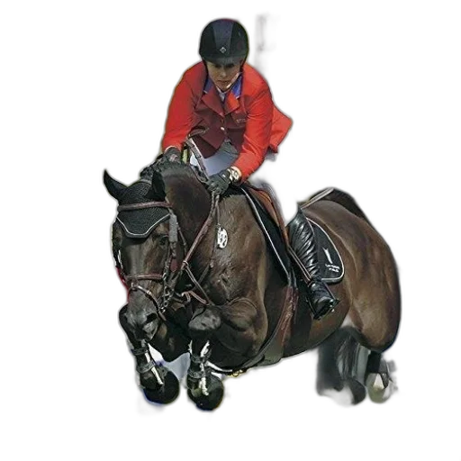 staff, animal, photorealistic, 2016 transparent PNG cut-out