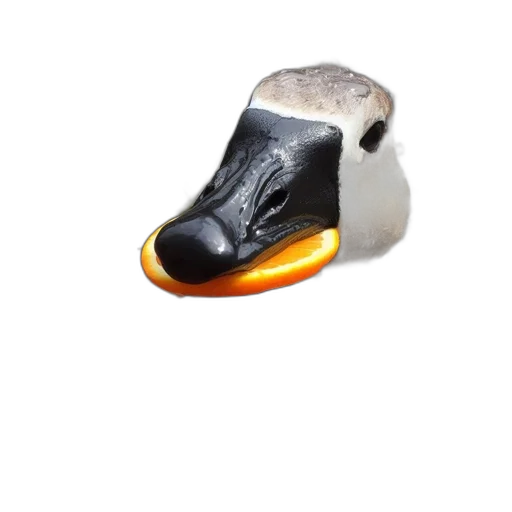 shoes, animal, mask, weapon transparent PNG cut-out