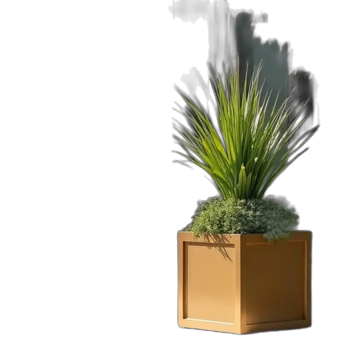 furniture, tree, crown, flower transparent PNG cut-out