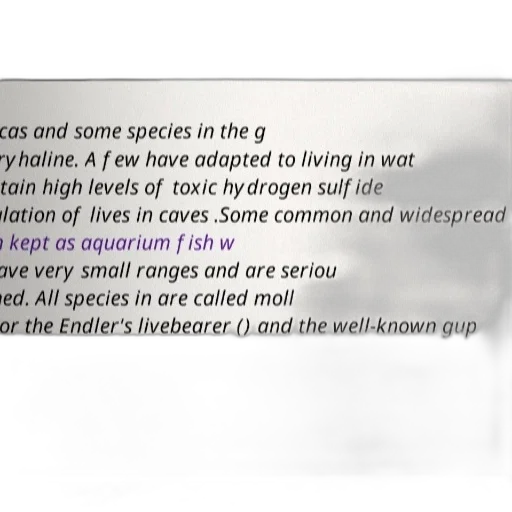 creature, text, overlay, discusses transparent PNG cut-out