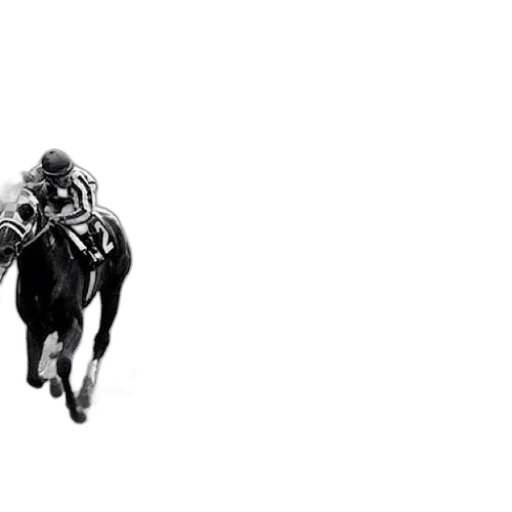 animal, creature, photorealistic, jockey transparent PNG cut-out