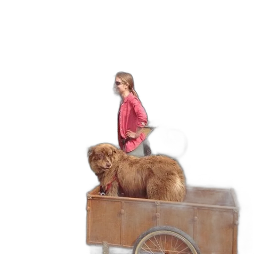 furniture, animal, car, photorealistic transparent PNG cut-out