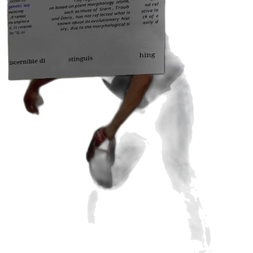 shoes, robot, weapon, creature transparent PNG cut-out