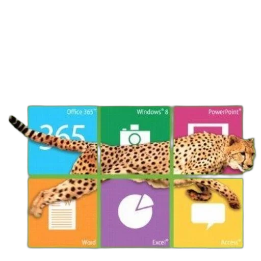 animal, colorful, book, cover transparent PNG cut-out