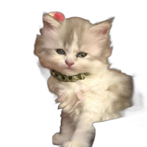 staff, animal, creature, jewelry transparent PNG cut-out