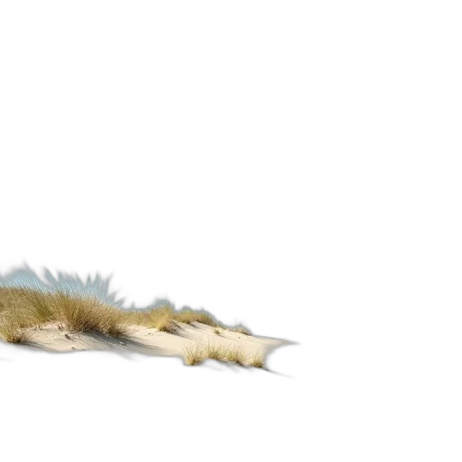 creature, dragon, animal, hair transparent PNG cut-out