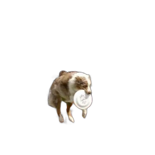 animal, creature, hair, mask transparent PNG cut-out