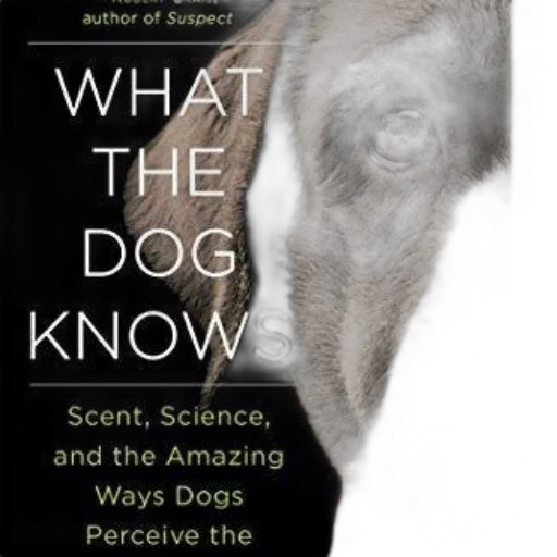 animal, book, cover, black transparent PNG cut-out