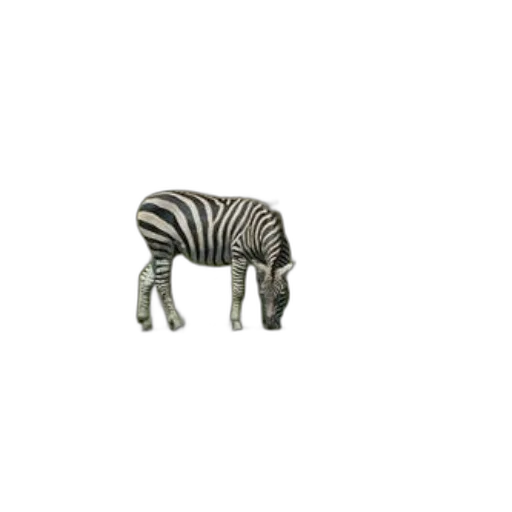 animal, creature, furniture, jewelry transparent PNG cut-out