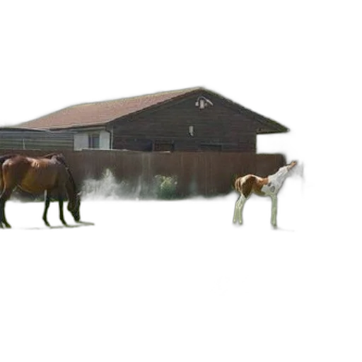 animal, building, creature, furniture transparent PNG cut-out
