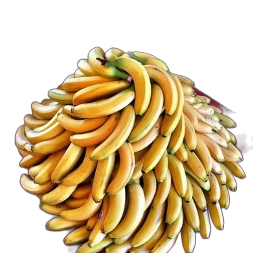 crown, food, hat, jewelry transparent PNG cut-out
