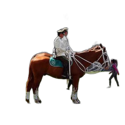 staff, animal, hat, creature transparent PNG cut-out