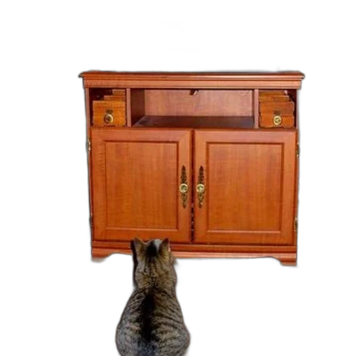 furniture, staff, animal, shoes transparent PNG cut-out