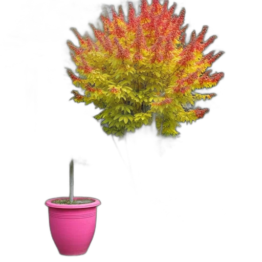 flower, tree, staff, crown transparent PNG cut-out