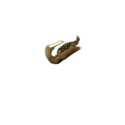 shoes, jewelry, weapon, staff transparent PNG cut-out