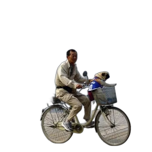 car, robot, animal, jacket transparent PNG cut-out