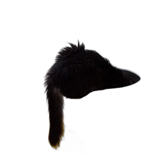 animal, hat, hair, staff transparent PNG cut-out
