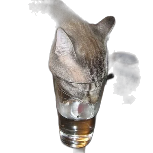 bottle, animal, staff, weapon transparent PNG cut-out