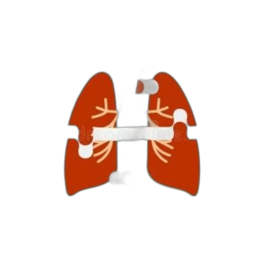 illustration, lungs, puzzle, pieces transparent PNG cut-out