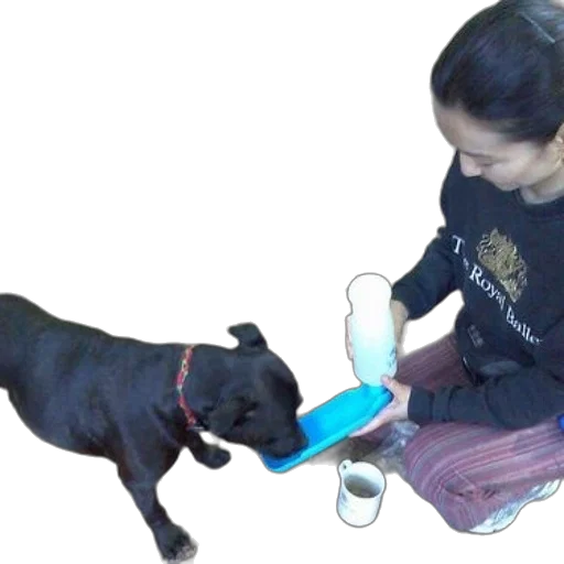 animal, staff, food, creature transparent PNG cut-out
