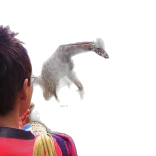dragon, creature, animal, hair transparent PNG cut-out