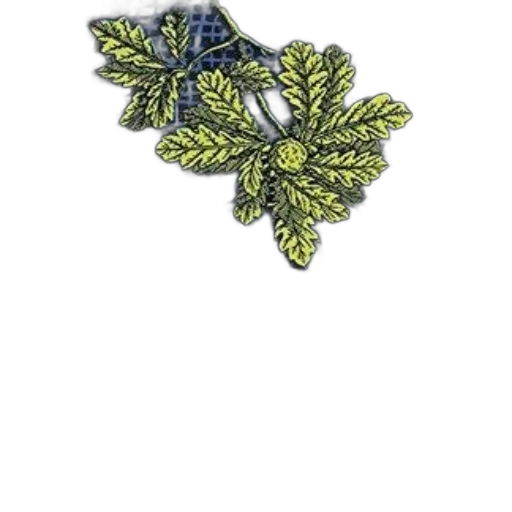 jewelry, crown, flower, staff transparent PNG cut-out
