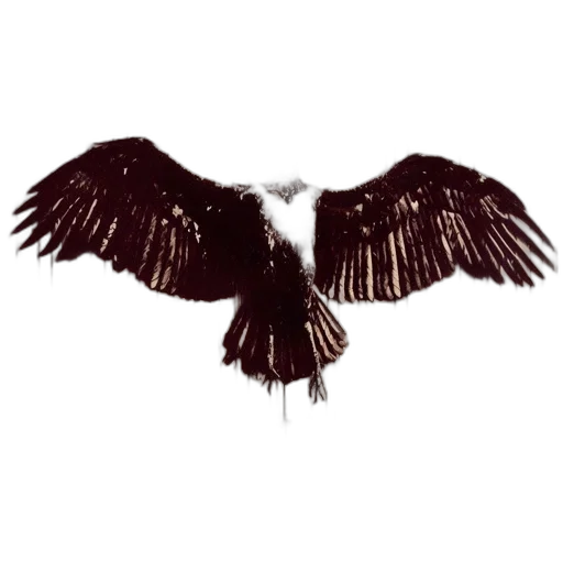 animal, jacket, staff, jewelry transparent PNG cut-out