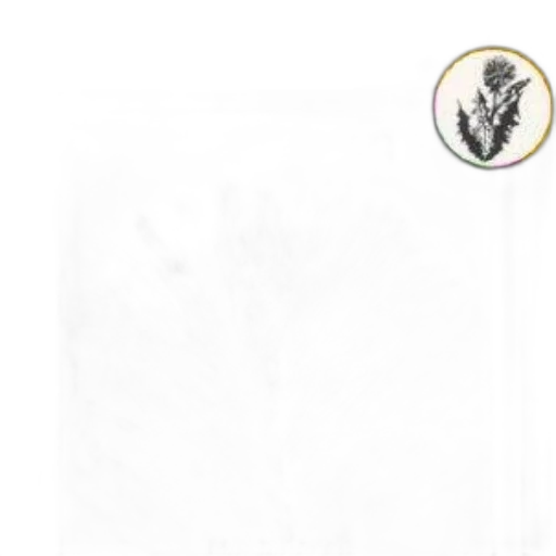 staff, jacket, earth tones, monochrome transparent PNG cut-out